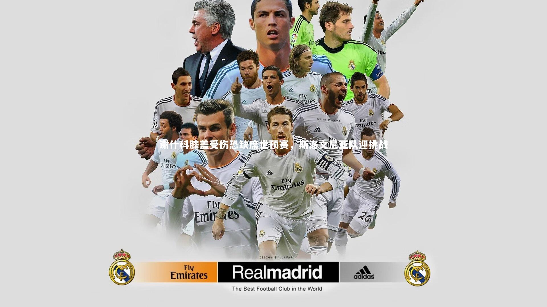 谢什科膝盖受伤恐缺席世预赛，斯洛文尼亚队迎挑战